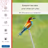 برچسب پوششی ماهوت مدل European bee-eater مناسب برای گوشی موبایل هوآوی P9 Lite