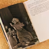 کتاب Fire and Blood اثر Martin and George R.R انتشارات Harper Collins