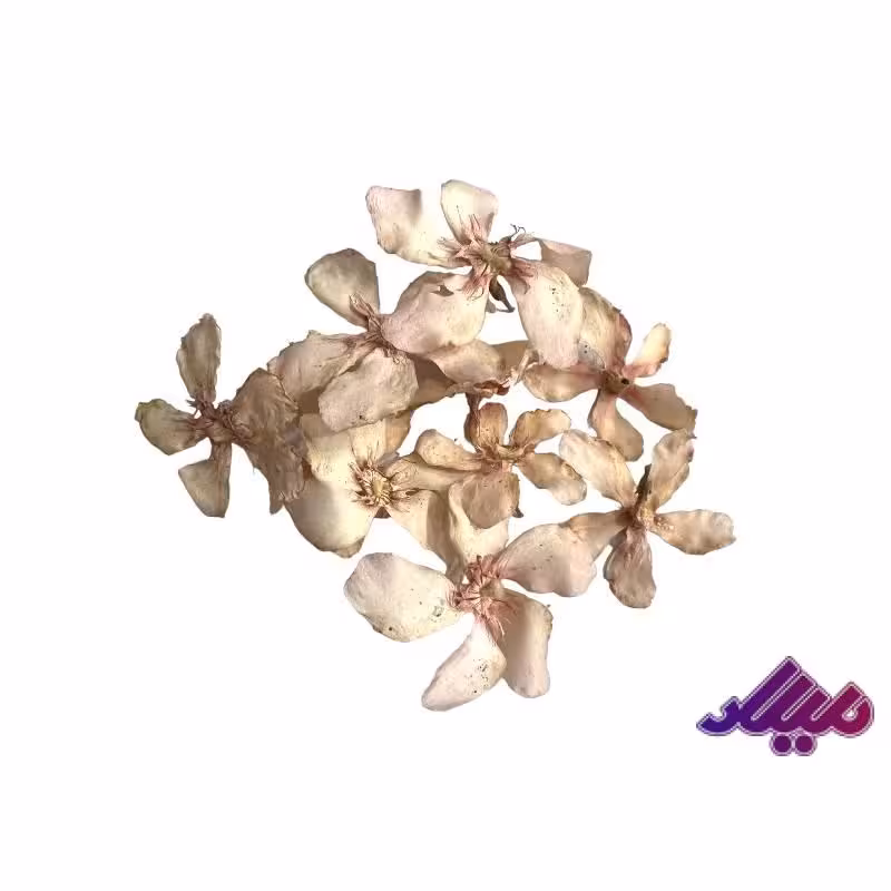 گل خشک شکوفه صورتی G60