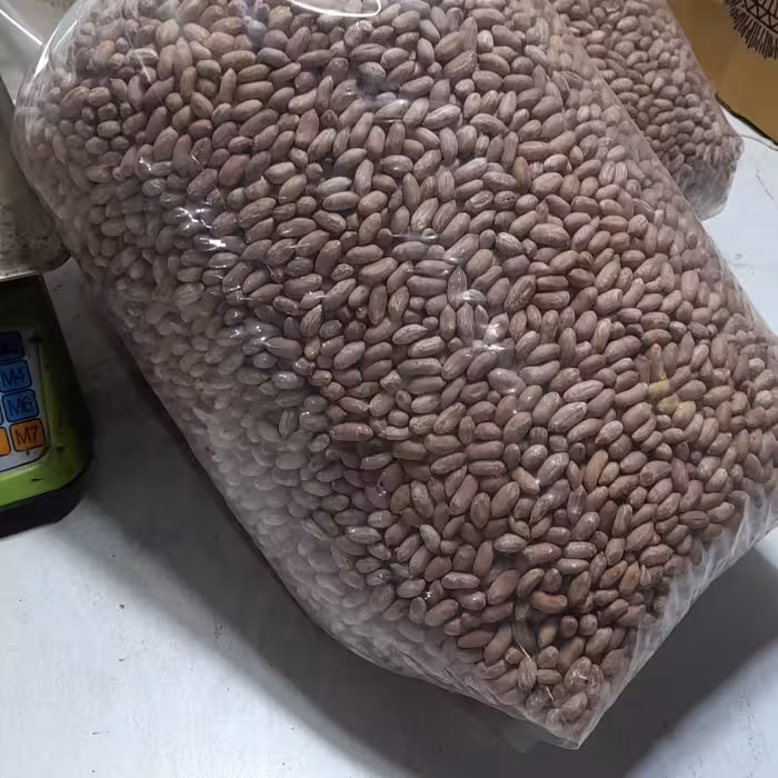 بادام زمینی گیلان(آستانه اشرفیه)دانه ریز نمکی 5کیلویی