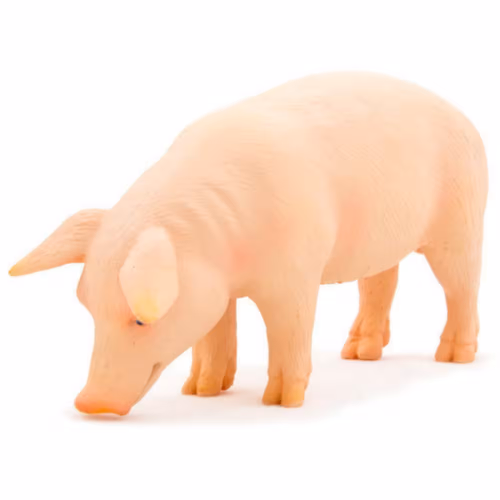 خرید فیگور مینیاتوری خوک MOJO Pig Boar 387055