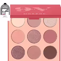 پالت سایه هنری گل رز وینتیج 9V مورف 9V Vintage Rose Artistry Palette