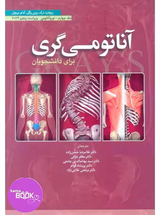 آناتومی گری برای دانشجویان 2024 جلد چهارم نوروآناتومی حسن زاده ابن سینا