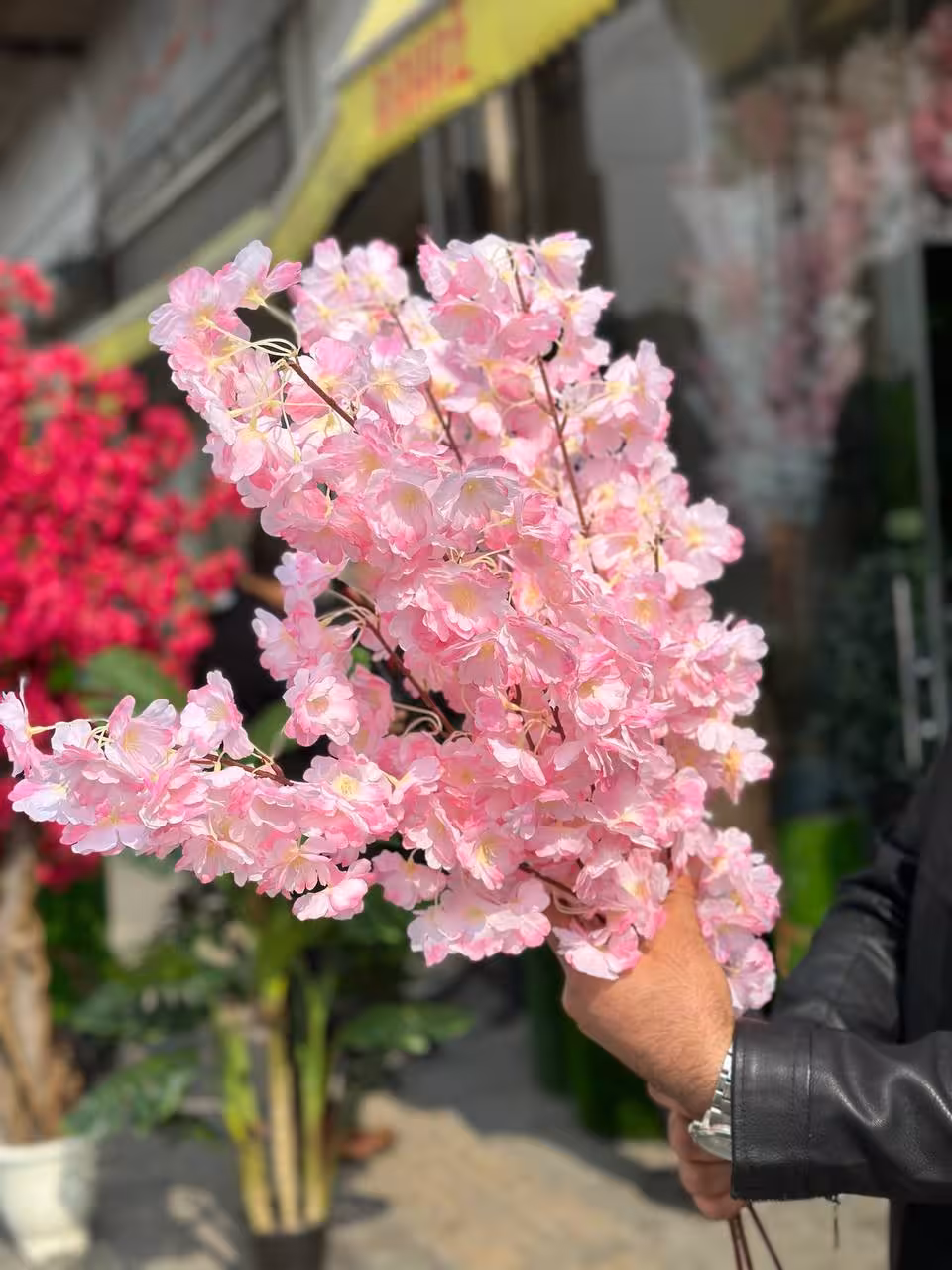 شاخه شکوفه هلو لبه صورتی