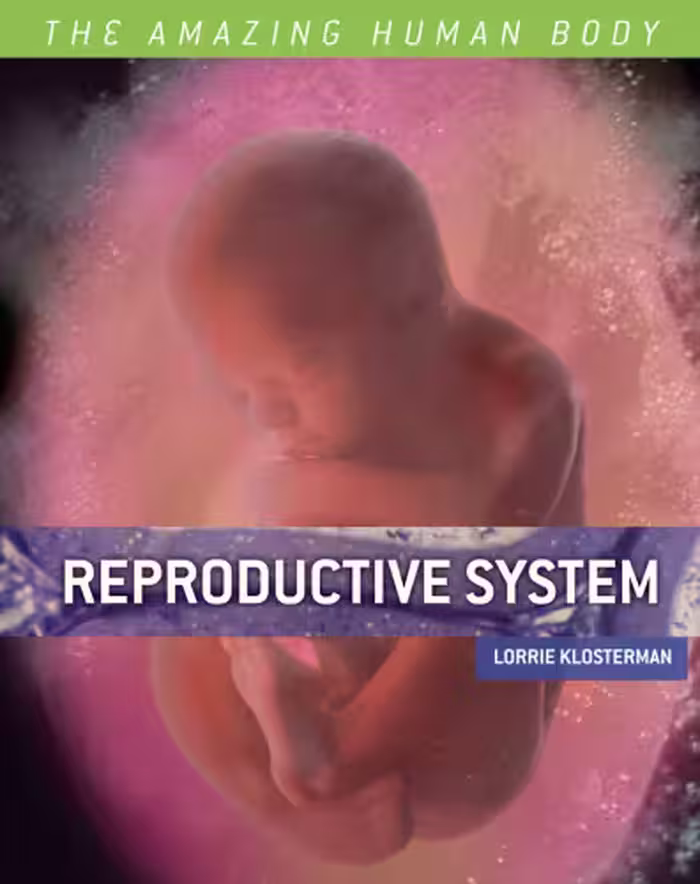 خرید و دانلود نسخه کامل کتاب Reproductive System (The Amazing Human Body)