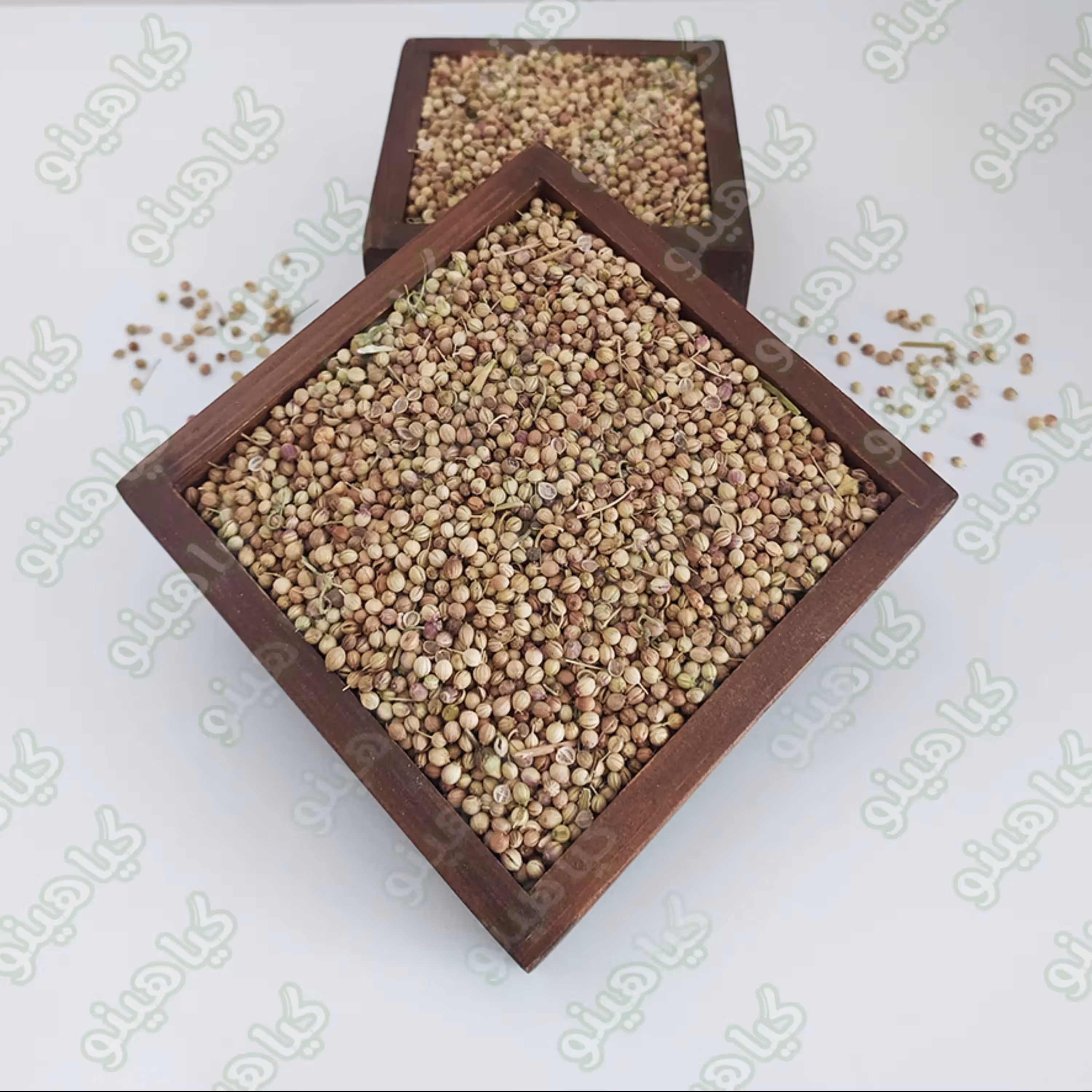 تخم گشنیز توپی یک کیلویی گیاهینو - پرفروش ترین تخم گشنیز یک کیلویی باسلام