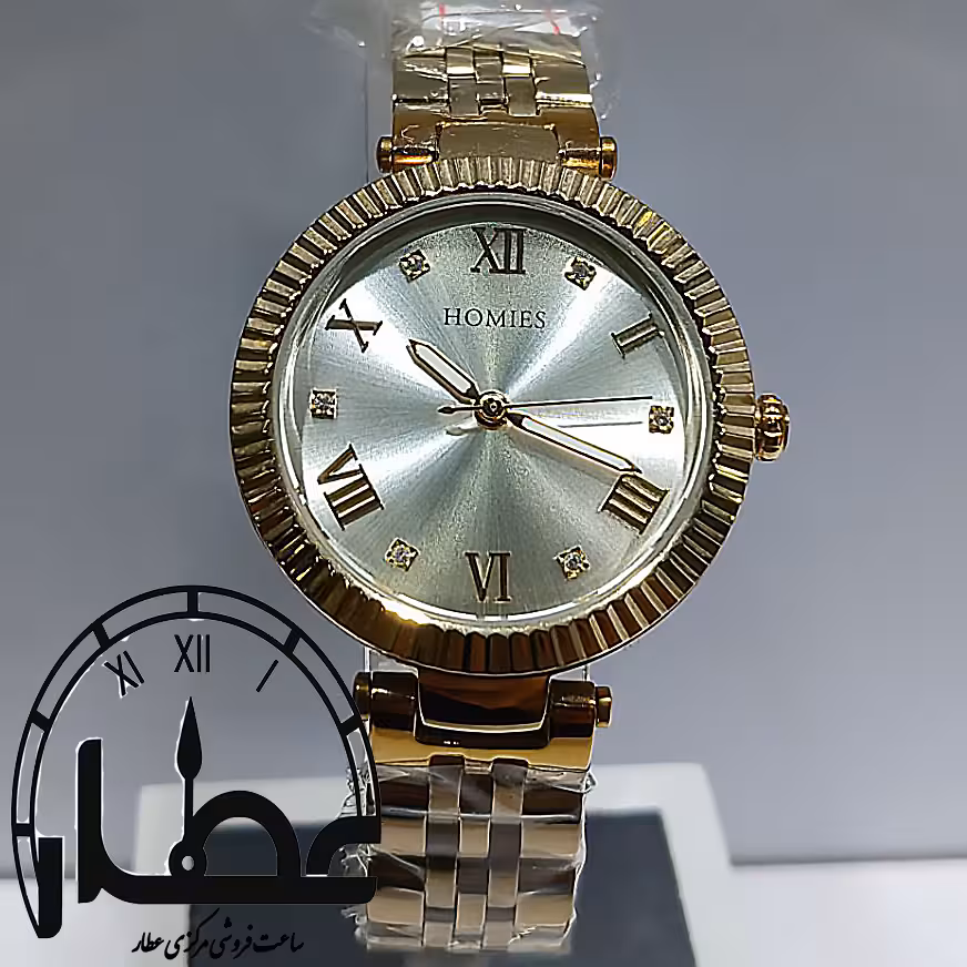 ساعت مچی زنانه هومیس مدل HM 21892 S01-1