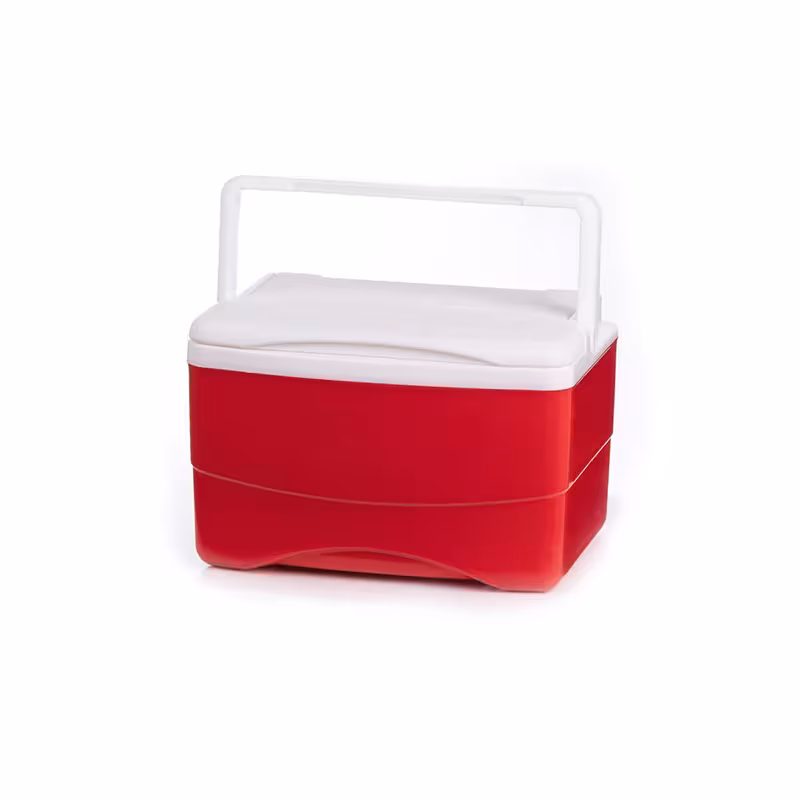 یخدان مسافرتی 11 لیتری کیش ترموس