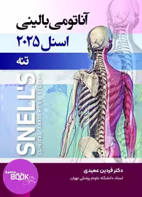 آناتومی بالینی اسنل 2025 تنه