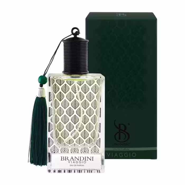 ادو پرفیوم مردانه برندینی مدل Viaggio حجم 90 میلی لیتر