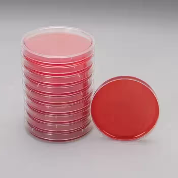 محیط کشت بلاد اگار آماده مصرف blood agar