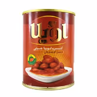 کنسرو لوبیا چیتی اویلا 400 گرمی