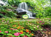 پوستردیواری طبیعت کد 13184