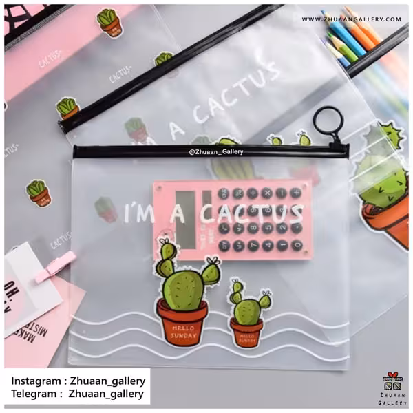 جامدادی شفاف کاکتوس