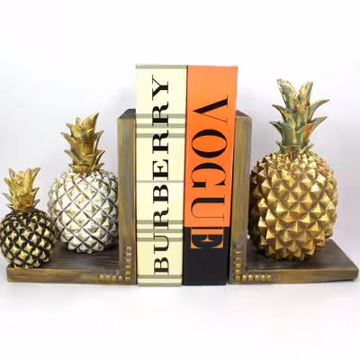 نگهدارنده کتاب مدل آناناس مجموعه 2 عددی