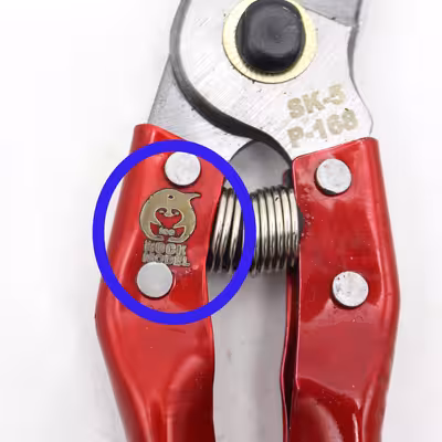 قیچی باغبانی مدل ایس راک کد YPGH-2RANG-21CM