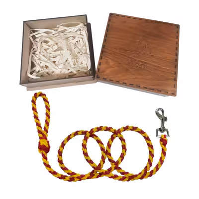 بند قلاده سگ ویونج مدل SH55