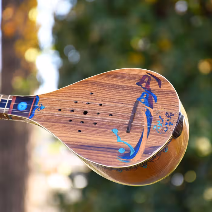 سه تار ایران ساز مدل رها