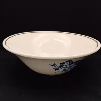 کاسه سرامیکی هیوا مدل مهتاب کد 11330141