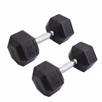 دمبل رکورد مدل 1400 وزن 12.5 کیلوگرم بسته 2 عددی