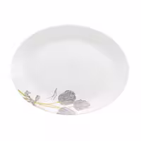 دیس برنج اوپال هومیت طرح دانژه طوسی