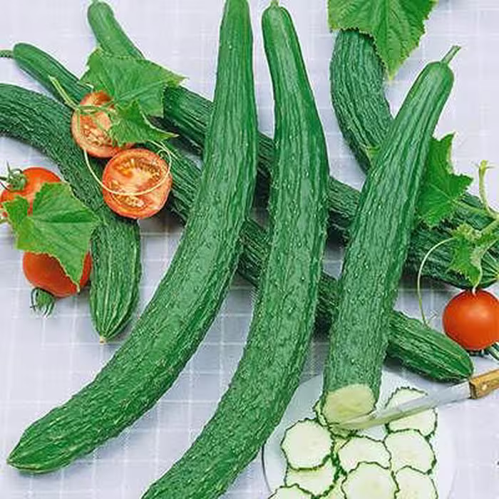 بذر خیار ژاپنی یاماتا مخصوص تهیه سوشی