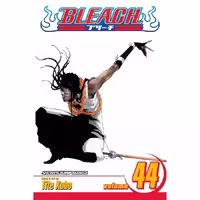 Bleach v44
