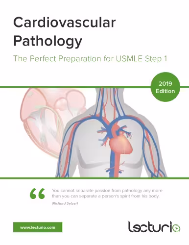 خرید و دانلود نسخه کامل کتاب Cardiovascular Pathology The Perfect Preparation for USMLE Step 1