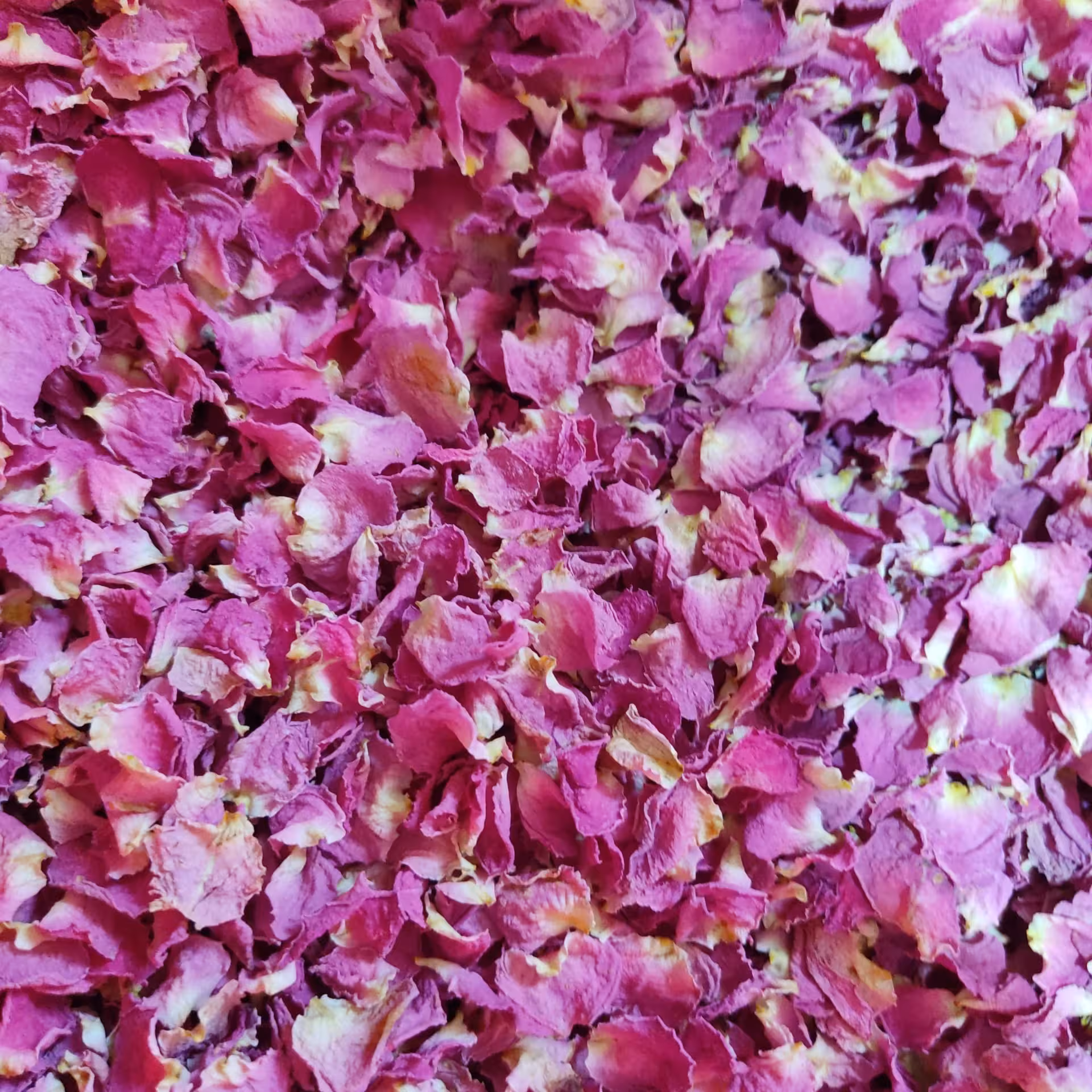 گل محمدی خشک و گلپر آذرشهر ارسال رایگان