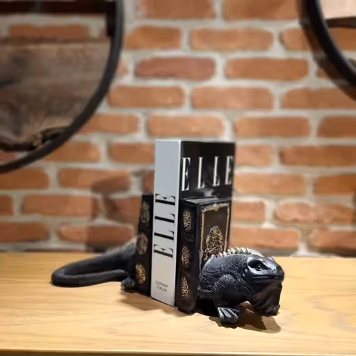 دکوری هولدر ایگوانا (پس کرایه)