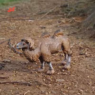 فیگور حیوانات شتر دو کوهان fiqure of Camel
