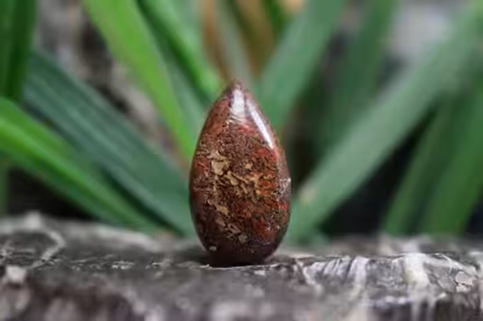 فسیل استخوان دایناسور