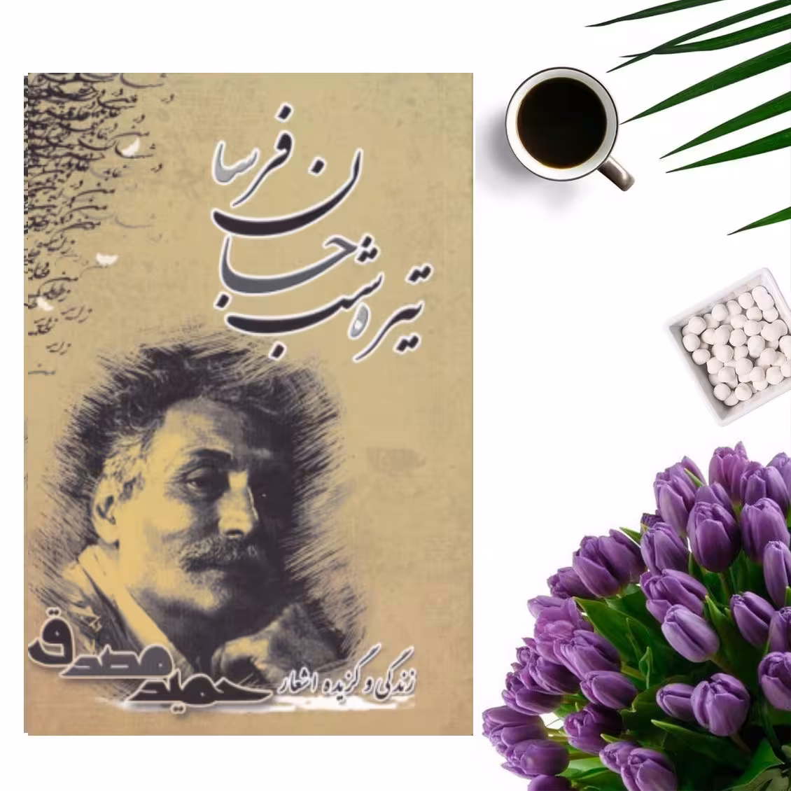 کتاب زندگی و گزیده اشعار حمید مصدق ( تیره شب جانفرسا ) انتشارات سایه آرا