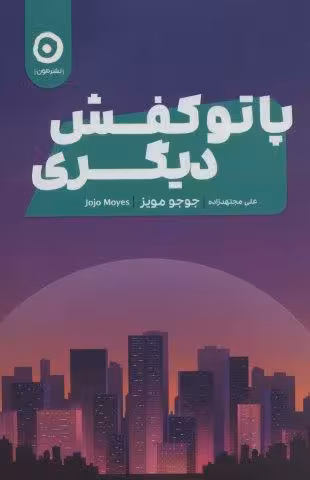 پا تو کفش دیگری