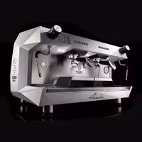 اسپرسو ساز بیزرا 2 گروپ آرکادیا BEZZERA pid ARCADIA 2GR