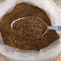زیره سیاه سارنیا (11 گرم - بسته آشنایی)