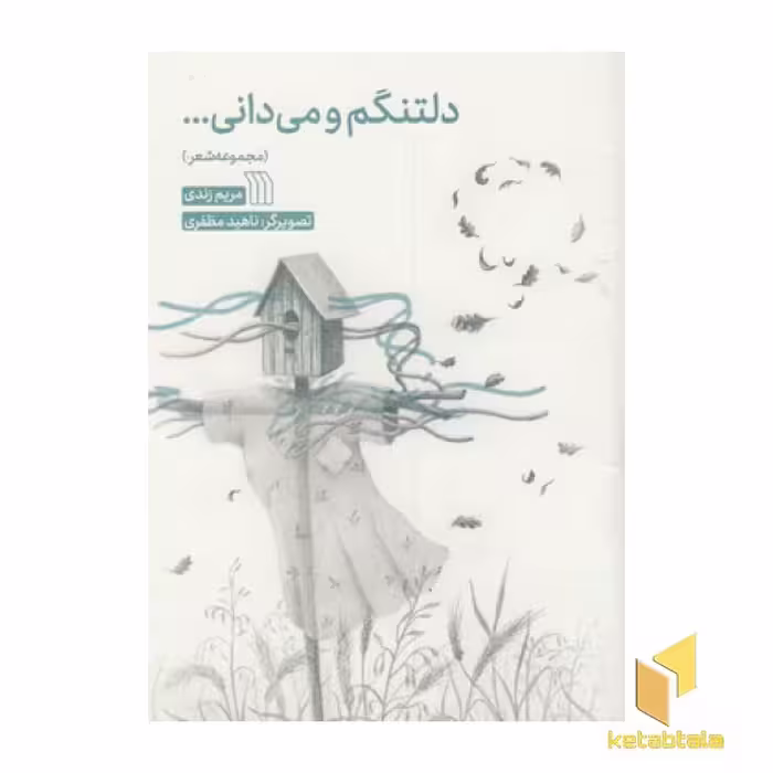 کتاب دلتنگم و می دانی... اثر مریم زندی، نشر سروش