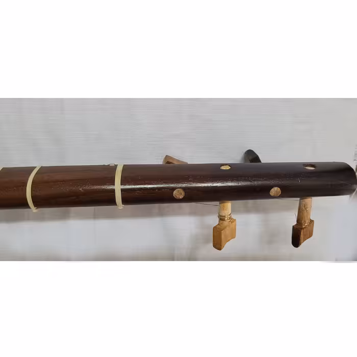 سه تار مدل کیهان کد  T800_K