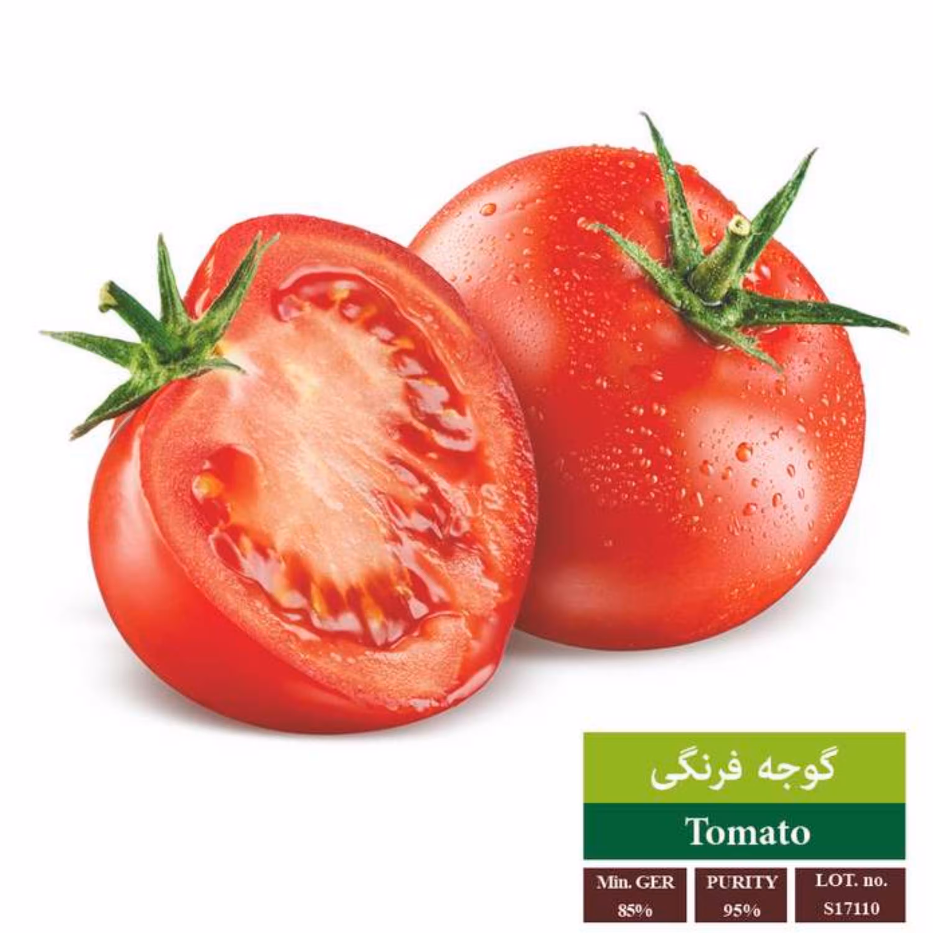 بذر گوجه فرنگی بذر طلایی رویان 