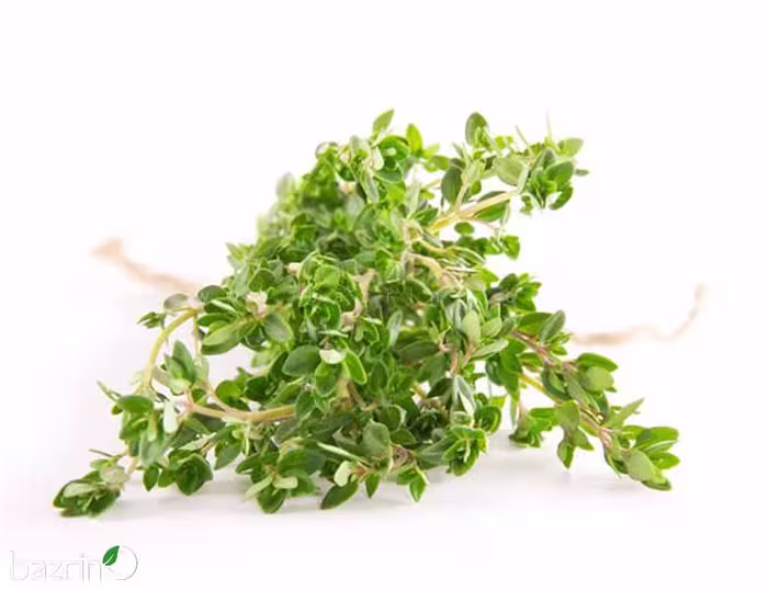 بذر آویشن باغی (Origanum vulgare)، بسته 100 گرمی