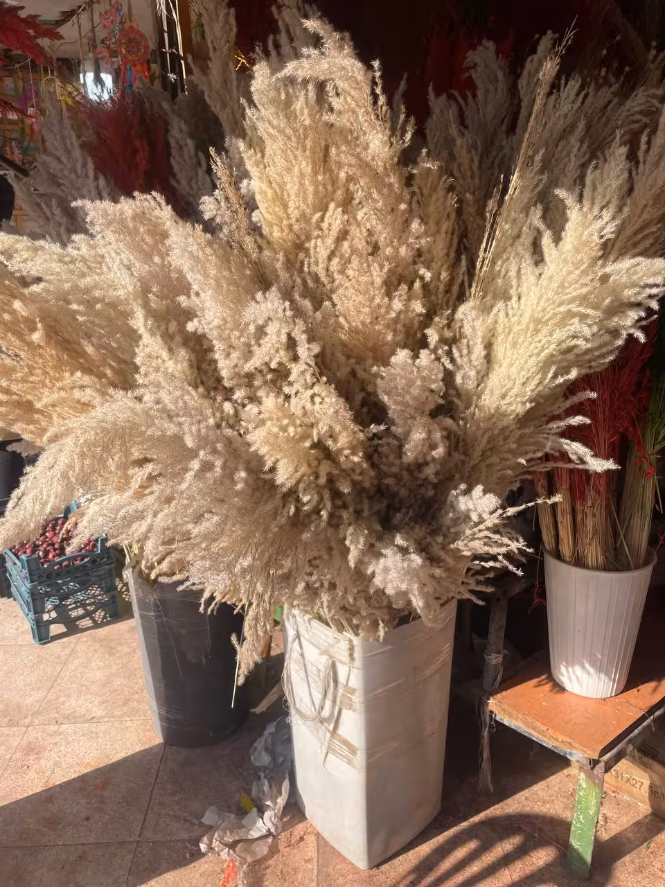 پامپاس کرم رنگ دسته 20 عددی