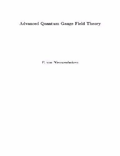 خرید و دانلود نسخه کامل کتاب Advanced quantum gauge field theory