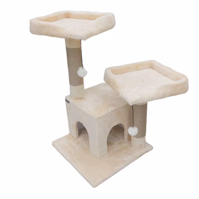 اسکرچر گربه آدریاناپت کو مدل اوکالیپتوس | چاوه