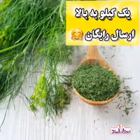 سبزی شوید خشک سبز اعلا 500 گرمی اعتماد تازه(سبزی شوید) | amazonchi