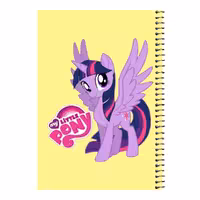 دفتر مشق 80 برگ اس جی مدل اسب شاخدار