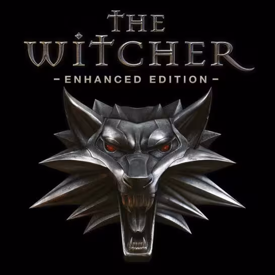 بازی The Witcher: Enhanced Edition