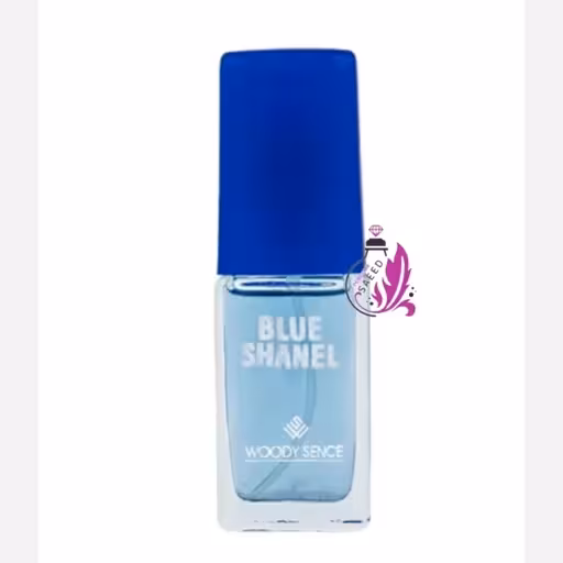 عطر جیبی   BLUE SHANELبلوشنل  مردانه وودی سنس 15 میل