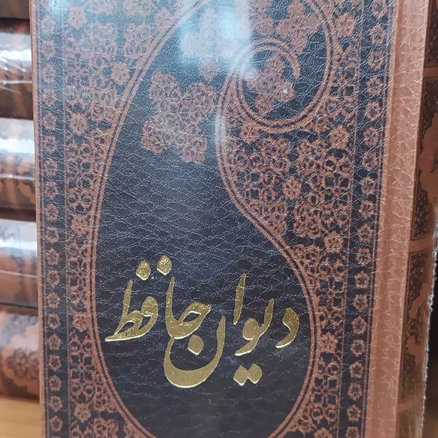 دیوان حافظ پالتویی