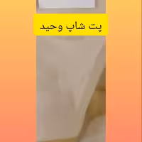 آرد مغز کتان اردبیل 1000گرمی درجه یک 