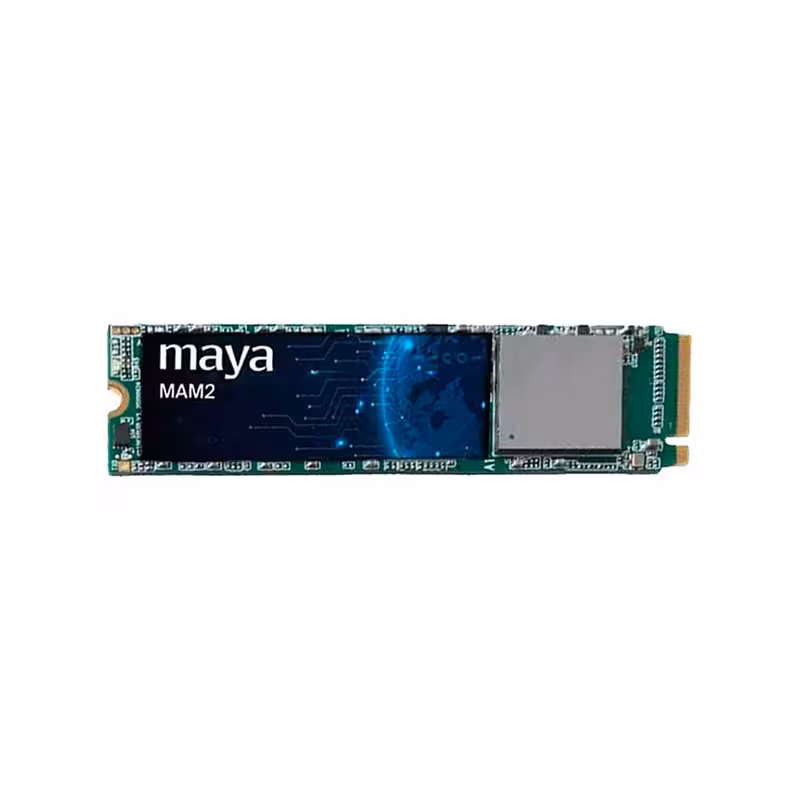 اس اس دی اینترنال مایا ظرفیت 2 ترابایت مدل MAYA MAM2 T2 Pro M.2